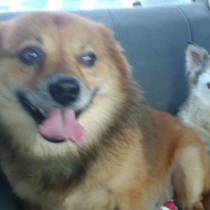 Meet your Posher, April